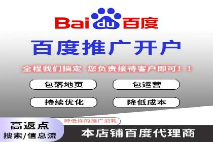 百度竞价与搜索引擎优化（SEO）的协同效应案例